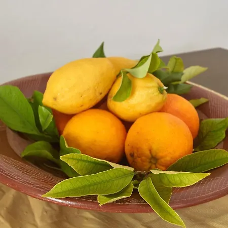 Holiday home La Terrazza Sul Blu Di