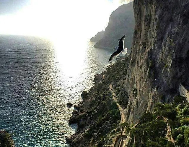 La Terrazza Sul Blu Di Feriehus Capri