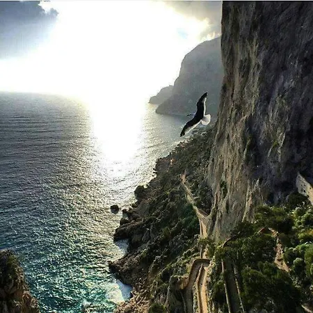 La Terrazza Sul Blu Di Σπίτι διακοπών Κάπρι
