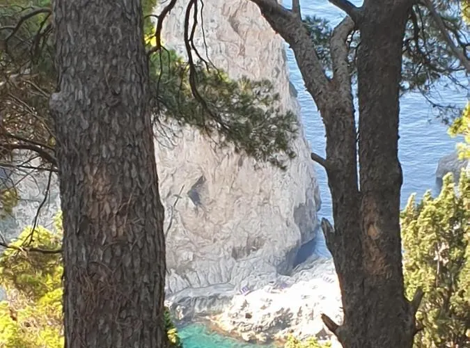 La Terrazza Sul Blu Di *